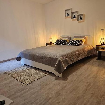 Joli Appartement En Face De Lac ナンテュア エクステリア 写真