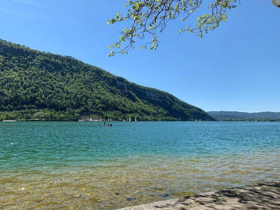 Joli Appartement En Face De Lac ナンテュア エクステリア 写真