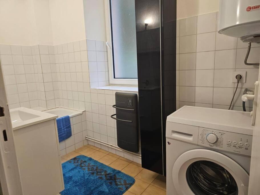 Joli Appartement En Face De Lac ナンテュア エクステリア 写真