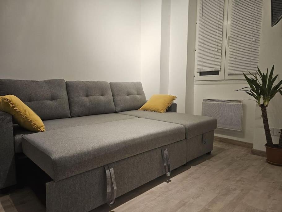 Joli Appartement En Face De Lac ナンテュア エクステリア 写真