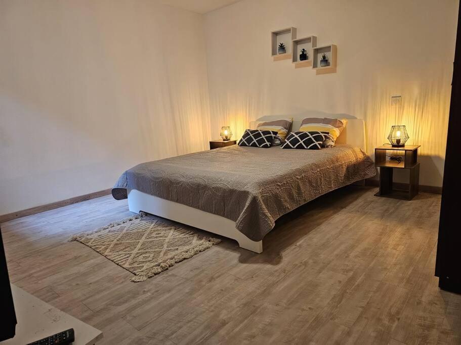 Joli Appartement En Face De Lac ナンテュア エクステリア 写真