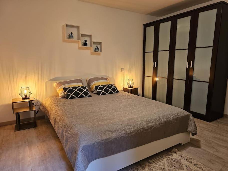 Joli Appartement En Face De Lac ナンテュア エクステリア 写真